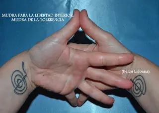 Técnicas Naturales de Sanación