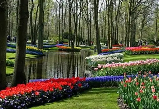 impresionantes