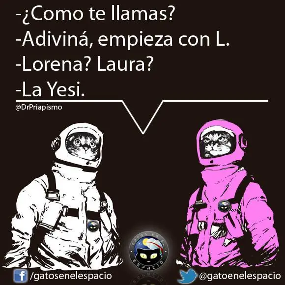 gatos en el espacio