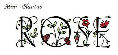 Mini-Plantas Rose