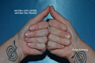 Técnicas Naturales de Sanación