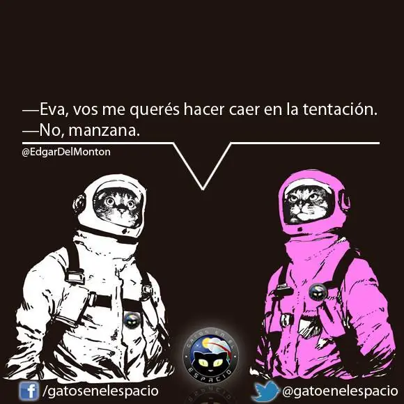 Gatos en el espacio! Colección Completa