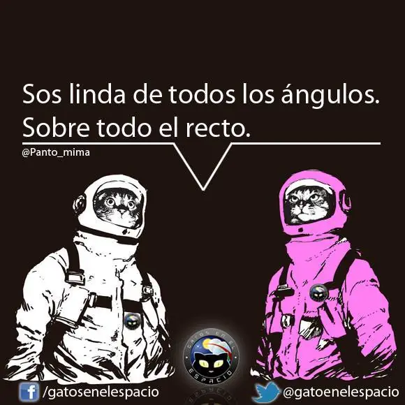 gatos en el espacio