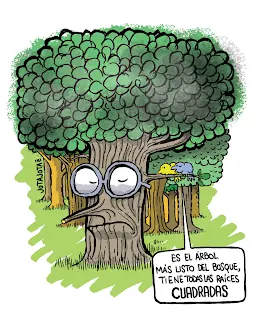 ley de bosques