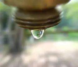 imagenes
