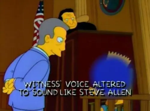 530 Momentos Simpsons "Solo p/ Entendidos"