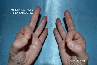 sanacion