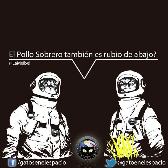 imagenes