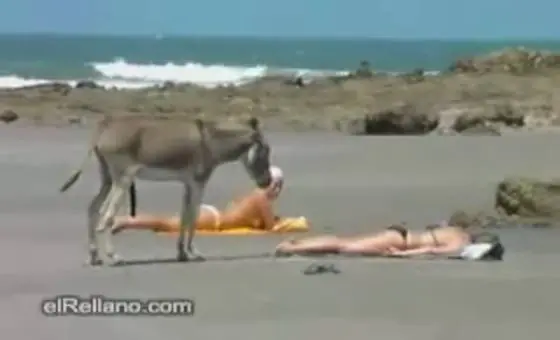 asesina