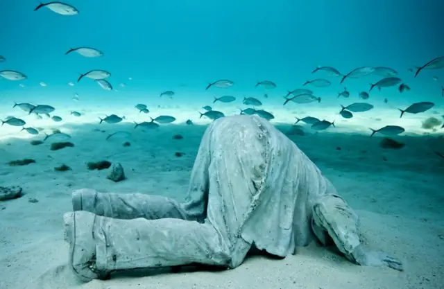 ecologia