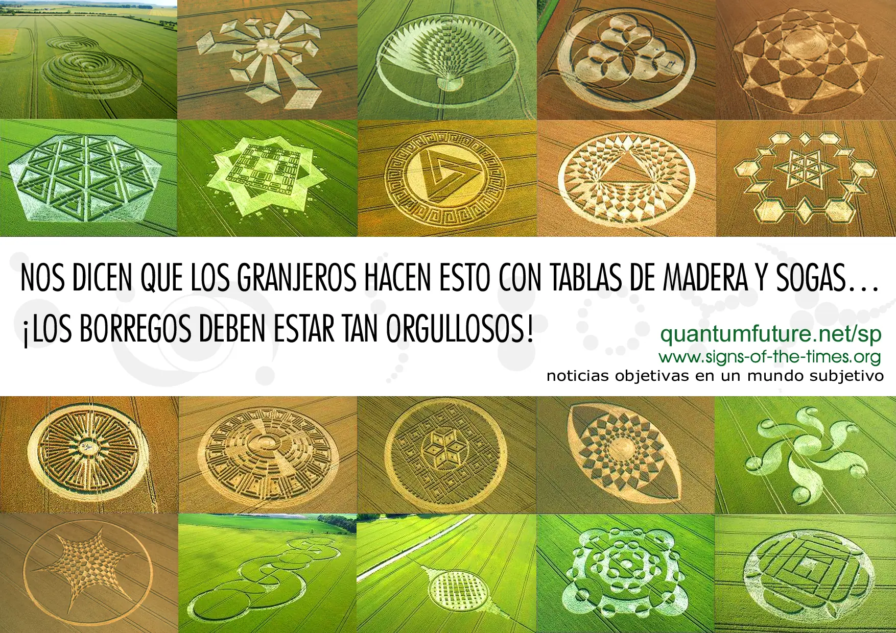 Los misteriosos circulos de las cosechas
