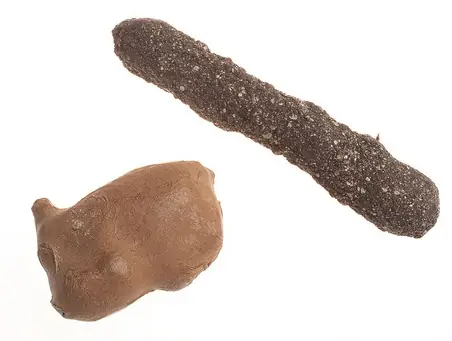 Gadgets Super-secretos durante la guerra fria