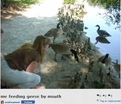 buzzfeed