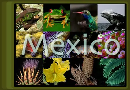 México es un país Megadiverso