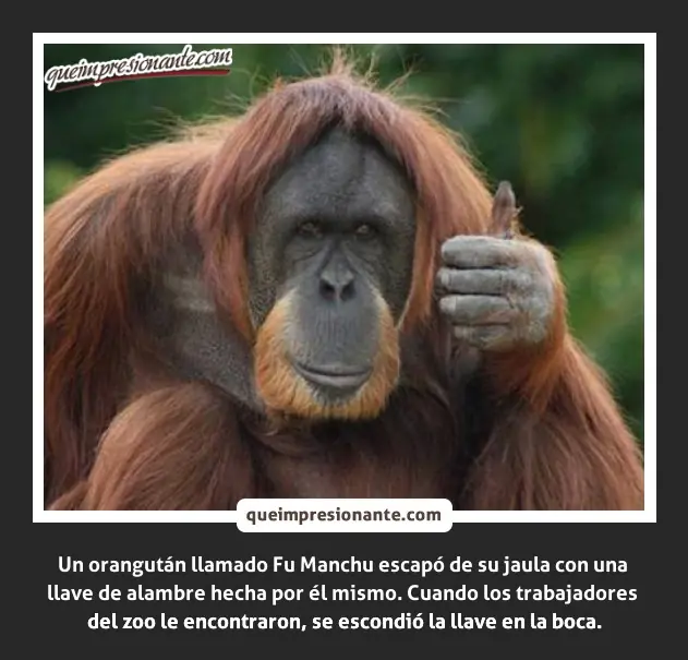 imagenes