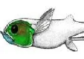 prehistorico