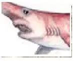 prehistorico