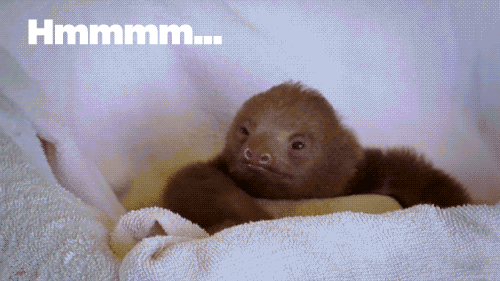 50 carreras resumidas en 50 gifs