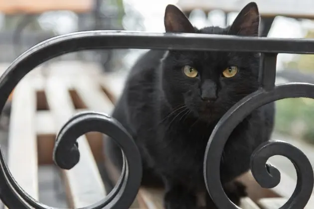 supersticiones