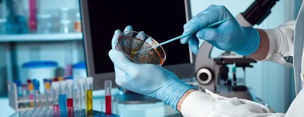 Furano: Sustancia Cancerígena en tus Alimentos