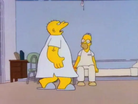 the simpsons