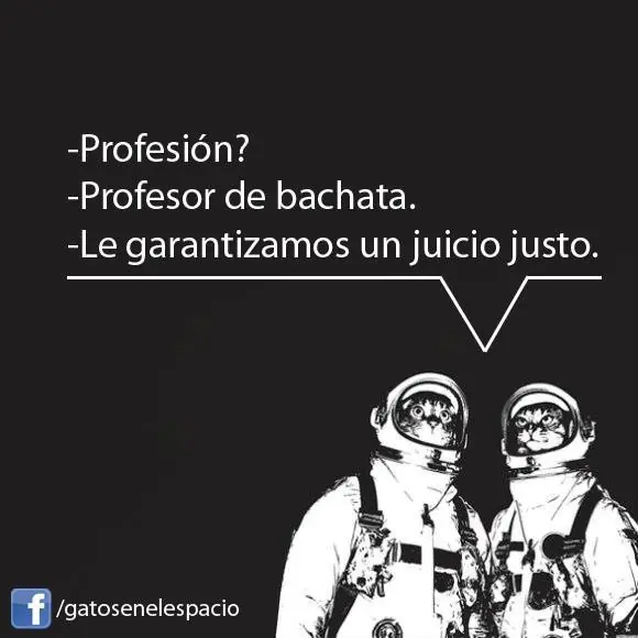 Gatos en el espacio (100 imágenes) Parte 3