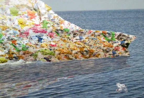 ecologia