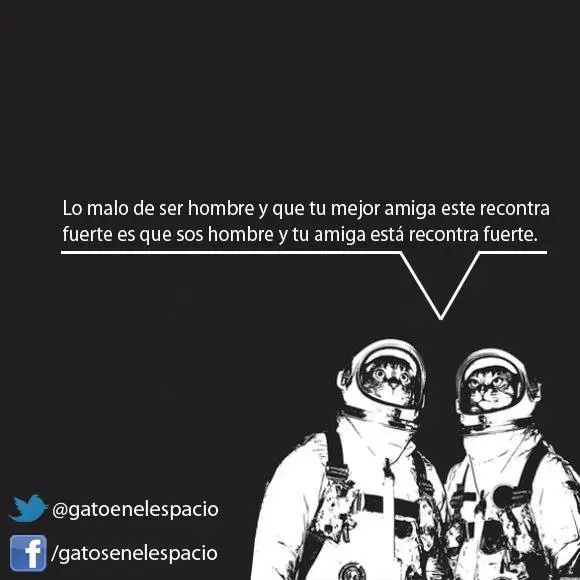 Gatos en el espacio (100 imágenes) Parte 3