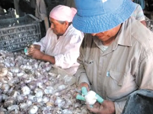 Bolivianos, peruanos y chilenos, son los más discriminados