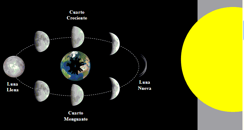 satelite