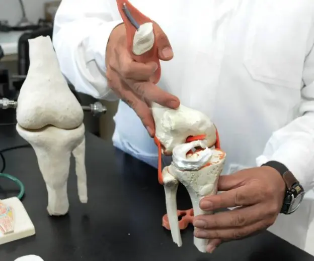 Crean biofibras de polímeros para sustituir