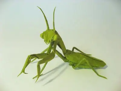 Origami