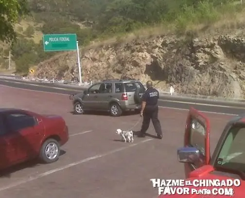 Mexicanos