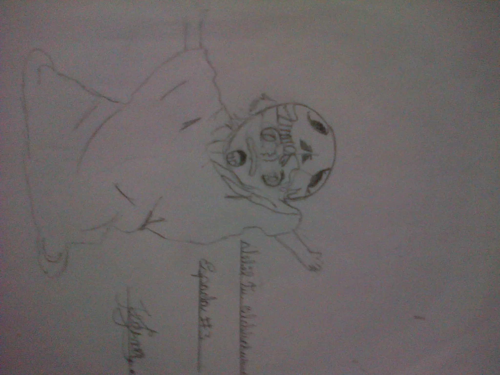 Mis dibujos !!