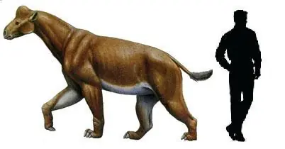 calicoterio