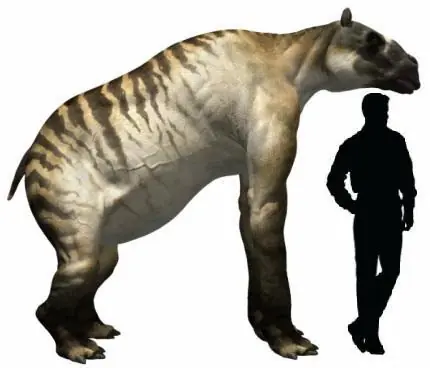 mamifero