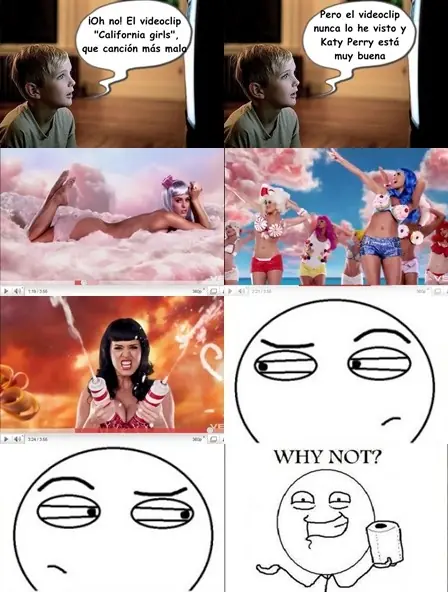Meme why not