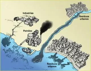 ecologia