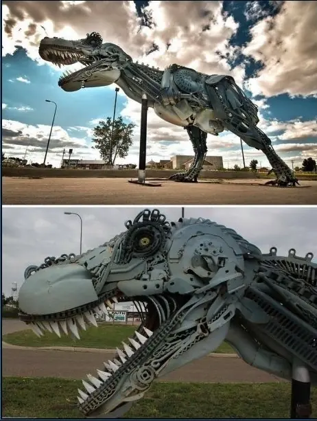 animales acuaticos
