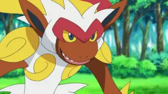 pokemon