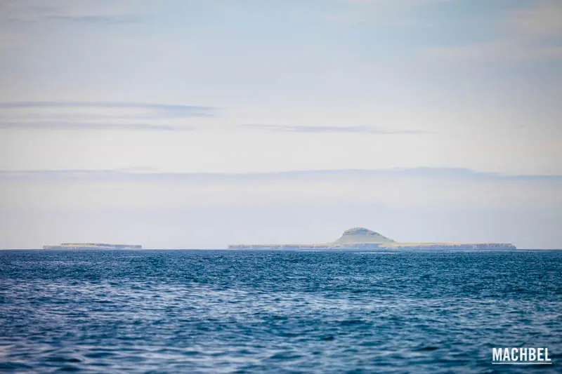 La Isla Mas Rara Del Mundo