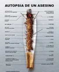 Mira lo que solo 60 cigarros le hacen a tu cuerpo.