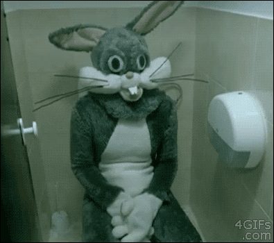 gifs