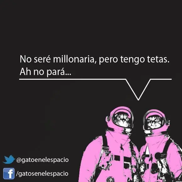 gatos en el espacio