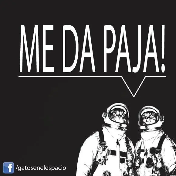 gatos en el espacio
