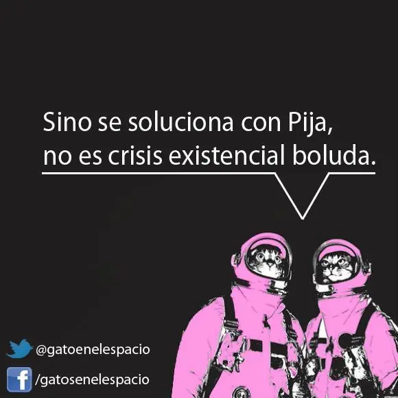 Gatos en el espacio (100 imágenes) Parte 4