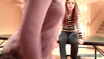Gifs