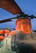 t2i