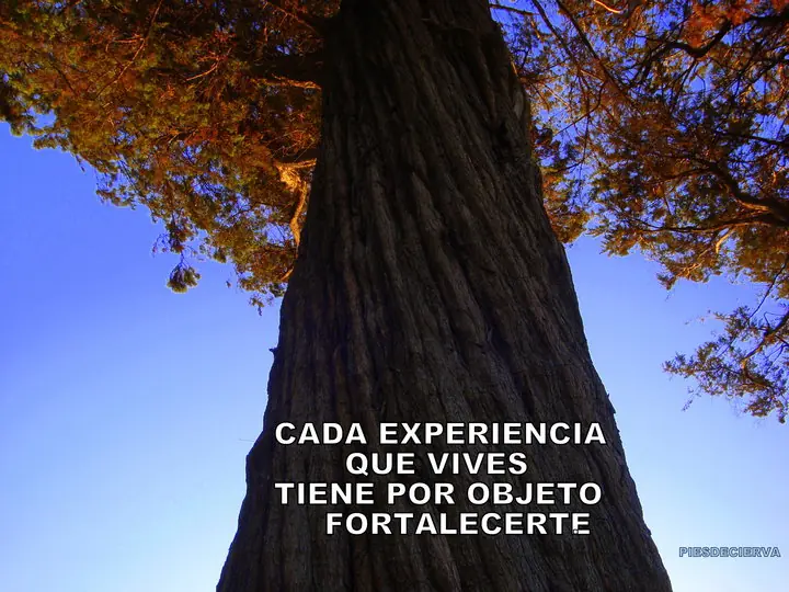 consejos