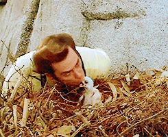 gif de ace ventura jim carrey